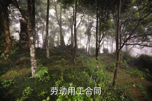 勞動(dòng)用工合同書，勞動(dòng)用工合同