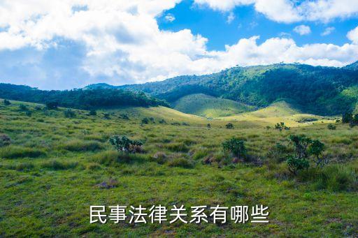 民事法律關(guān)系有哪些