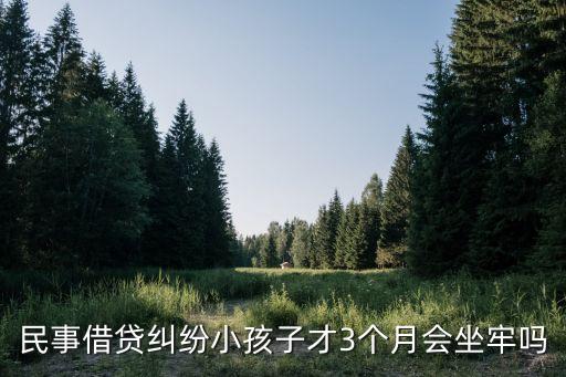 民事借貸糾紛小孩子才3個月會坐牢嗎