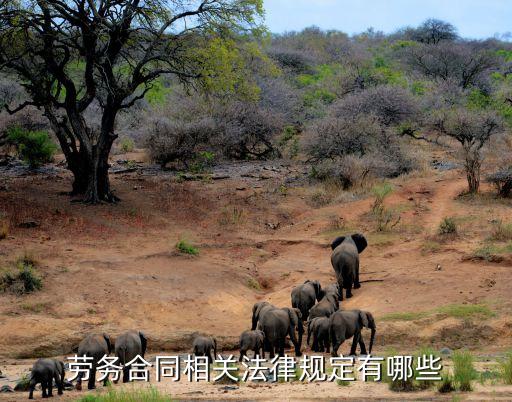 勞務(wù)合同有哪些法律法規(guī)，勞務(wù)合同的法律依據(jù)