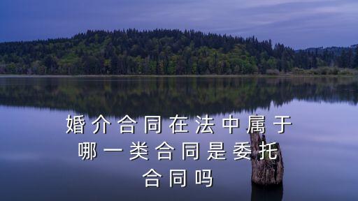 婚姻中介服務(wù)合同，什么樣的婚介合同為無效合同