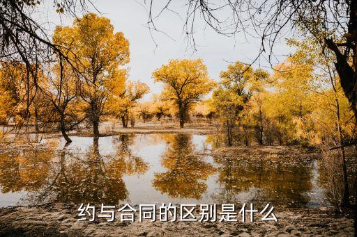 約與合同的區(qū)別是什么
