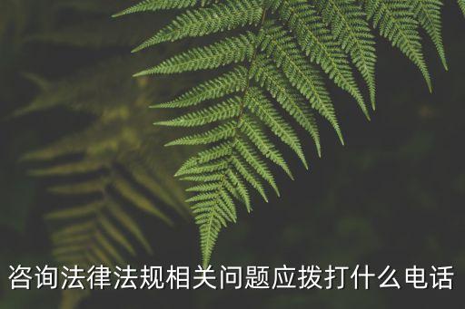 咨詢法律法規(guī)相關(guān)問(wèn)題應(yīng)撥打什么電話