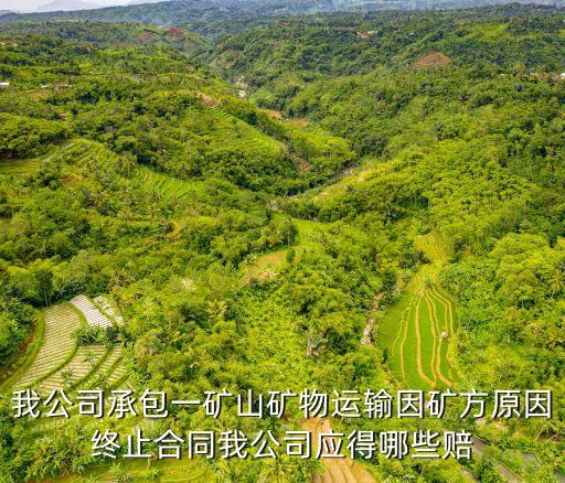 礦山運(yùn)輸合同范本，我公司承包一礦山礦物運(yùn)輸因礦方原因終止合同我公司應(yīng)得哪些賠