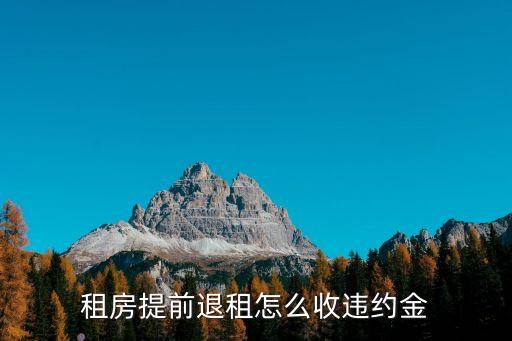 提前退租違約金怎么算，租房提前退租怎么收違約金