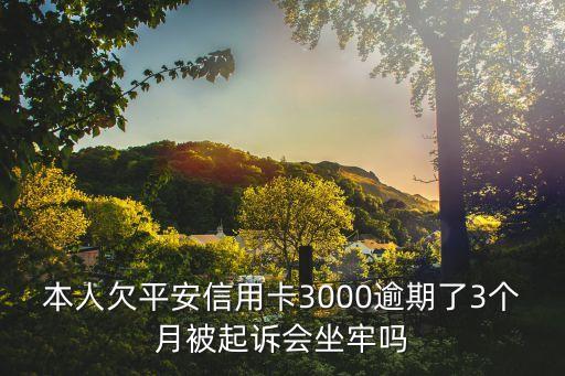 本人欠平安信用卡3000逾期了3個月被起訴會坐牢嗎