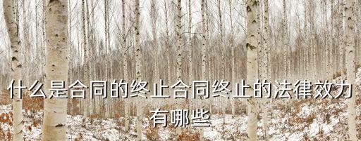 合同終止會有哪些法律效力，什么是合同的終止合同終止的法律效力有哪些