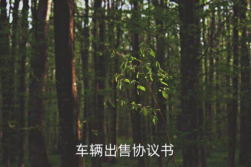 車(chē)輛出售協(xié)議書(shū)