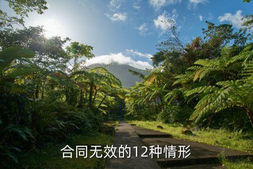 合同無效的12種情形