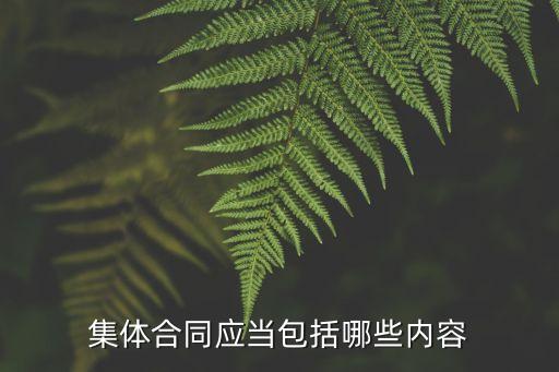 集體合同應(yīng)當(dāng)包括，12 我國現(xiàn)階段的集體合同包括