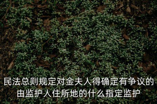 民法總則規(guī)定對金夫人得確定有爭議的由監(jiān)護人住所地的什么指定監(jiān)護
