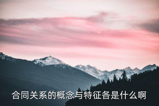合同關(guān)系的概念與特征各是什么啊