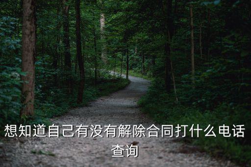 打什么電話可以解決合同糾紛，市場買賣糾紛應(yīng)打什么電話