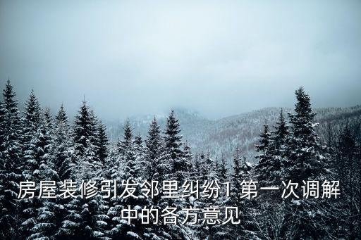 房屋裝修引發(fā)鄰里糾紛1 第一次調(diào)解中的各方意見