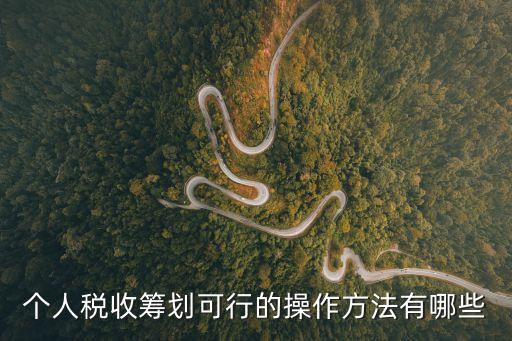 個人稅收籌劃可行的操作方法有哪些