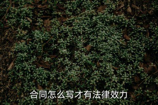 合同法律效力這一條怎么寫，怎樣寫協(xié)議書才有法律效應