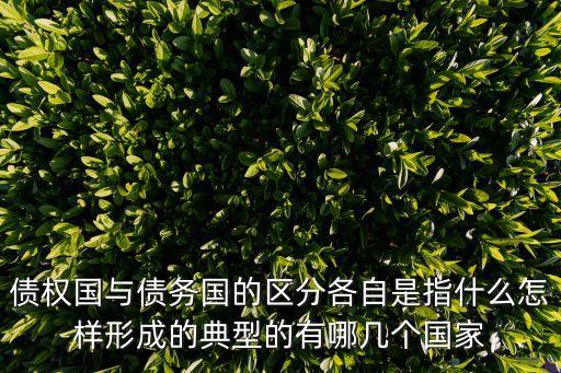 債權(quán)國(guó)與債務(wù)國(guó)的區(qū)分各自是指什么怎樣形成的典型的有哪幾個(gè)國(guó)家