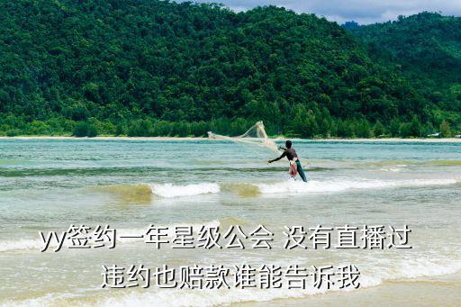 yy簽約一年星級公會 沒有直播過 違約也賠款誰能告訴我