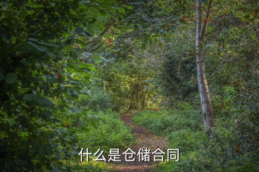 倉儲合同的法律特征有，倉儲合同的法律特征怎樣簡述
