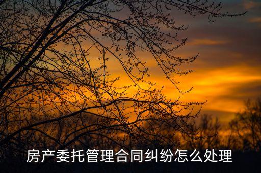 房產(chǎn)委托管理合同糾紛怎么處理
