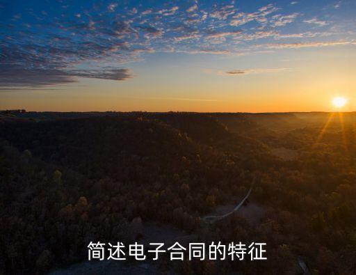 簡述電子合同的特征
