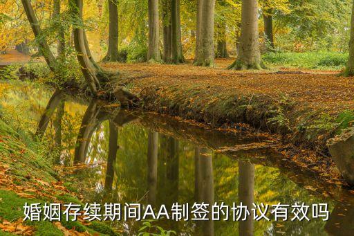 AA制婚姻協(xié)議，夫妻aa制協(xié)議范文