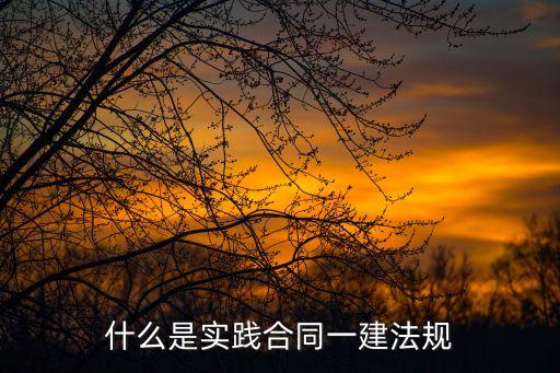 一建法律中實(shí)踐合同有哪些，什么是實(shí)踐合同一建法規(guī)