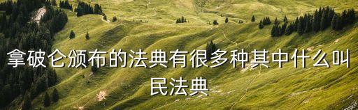 民法典是否包括民訴法，民法學(xué)和民事訴訟法