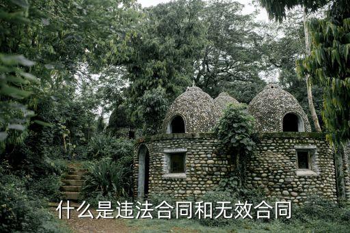 非法合同是什么法律規(guī)定，什么是非法合同