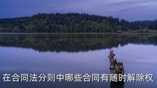 雙方享有任意解除權(quán)的合同，在合同法分則中哪些合同有隨時解除權(quán)