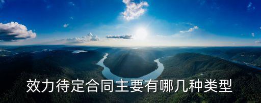 效力待定合同包括哪兩種合同，效力待定合同主要有哪幾種類型