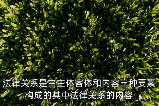 法律關(guān)系是由主體客體和內(nèi)容三種要素構(gòu)成的其中法律關(guān)系的內(nèi)容