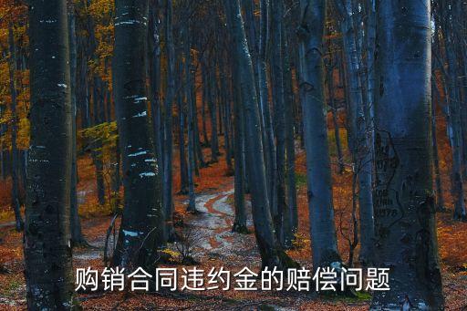 購銷合同違約金的賠償問題