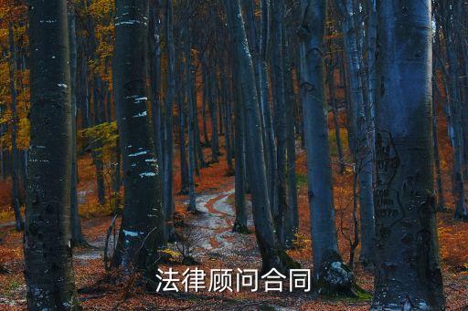 兩個(gè)法律顧問簽合同怎么簽，法律顧問合同