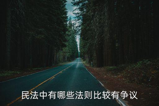 民法中有哪些法則比較有爭議