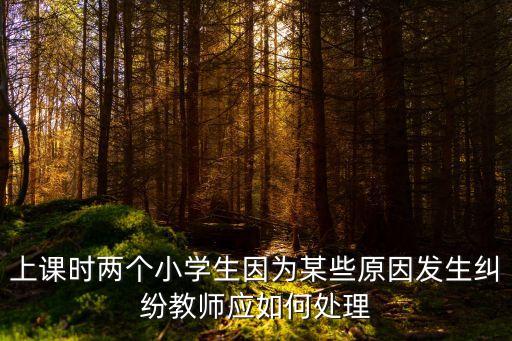 上課時兩個小學(xué)生因為某些原因發(fā)生糾紛教師應(yīng)如何處理