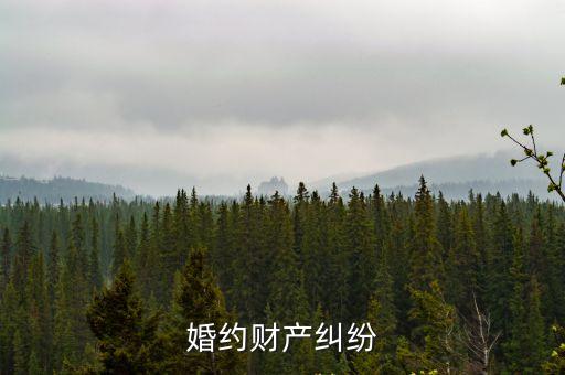 婚約財(cái)產(chǎn)糾紛