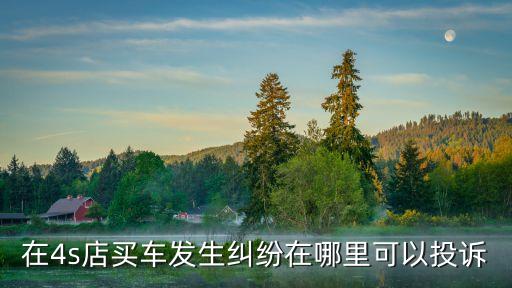 在4s店買車發(fā)生糾紛在哪里可以投訴