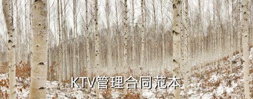 ktv合同協(xié)議書范本，急急急KTV投資合作協(xié)議書范本