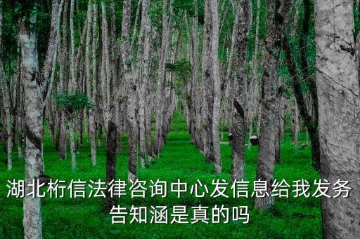 湖北桁信法律咨詢中心，債務(wù)追討法律咨詢