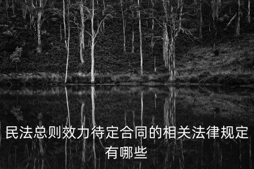 民法典中有關(guān)合同效力的條款，民法上關(guān)于欺詐性合同的效力性規(guī)定