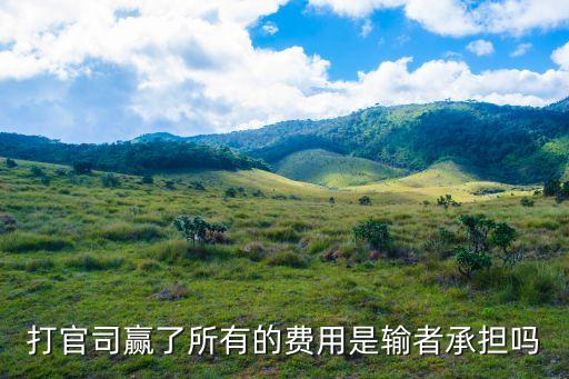 打官司贏了所有的費用是輸者承擔嗎