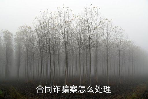 合同詐騙案怎么處理，合同詐騙立案后怎么處理