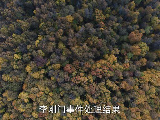 李剛門事件處理結(jié)果