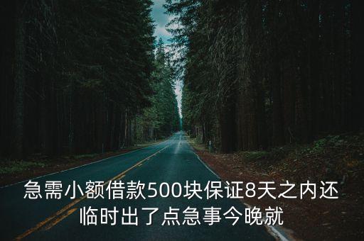 小額借錢500元，未滿十八 滿十七 哪里可以小額貸款 只要500元 下月20號(hào)還有身份證和