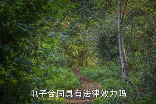電子合同具有法律效力嗎