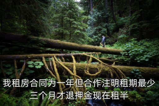 租房一年半年不租了能退押金嗎，到期一年我還租著沒續(xù)租現(xiàn)在不租了可以退押金嗎