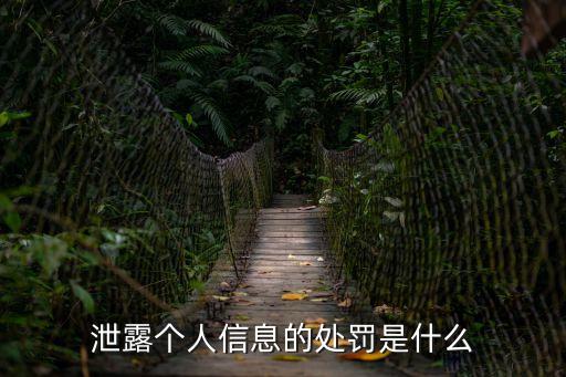 網絡泄露個人信息的法律法規(guī)，泄露個人信息的處罰是什么