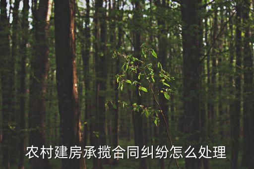 農(nóng)村房屋建設合同糾紛，農(nóng)村建房承攬合同糾紛如何處理
