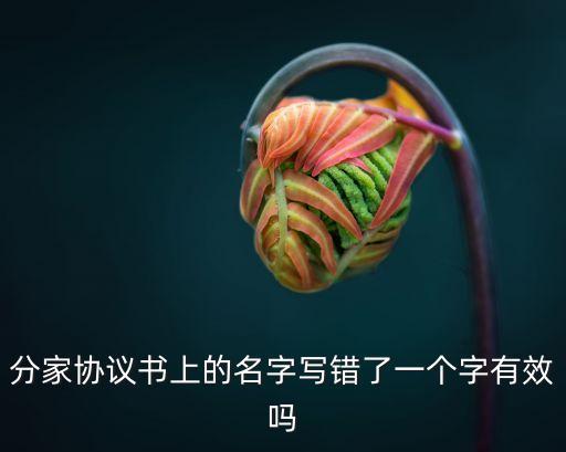 合同名字錯(cuò)了一個(gè)字算無(wú)效嗎，分家協(xié)議書(shū)上的名字寫(xiě)錯(cuò)了一個(gè)字有效嗎
